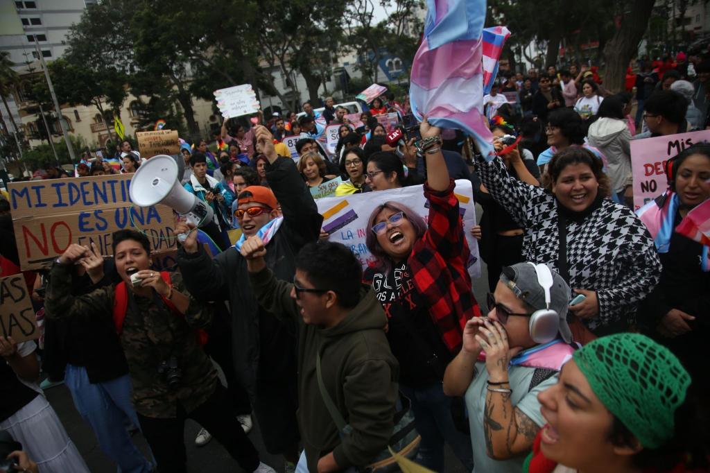 Menschen protestieren in Lima gegen eine Entscheidung des peruanischen Gesundheitsministeriums, Transgender-Personen als psychisch krank einzustufen. - Foto: Gian Masko/dpa