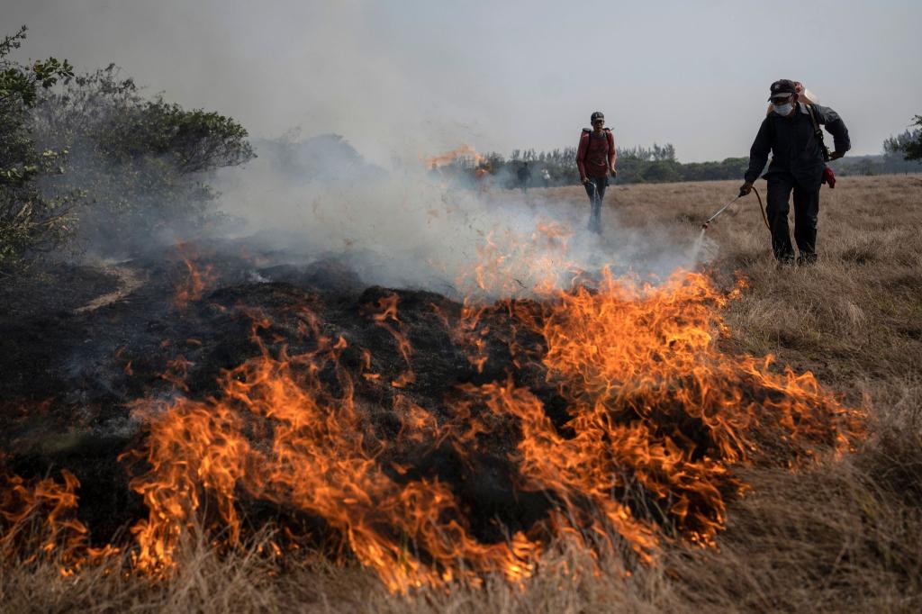 Anwohner versuchen, einen sich nähernden Flächenbrand im mexikanischen Bundesstaat Veracruz unter Kontrolle zu bringen. - Foto: Felix Marquez/AP