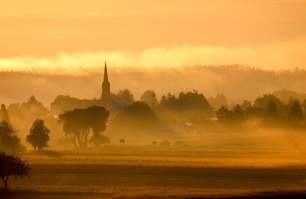 Die aufgehenden Sonne taucht den Nebel rund um die Kirche St. Ursula in Dieterskirch (Baden-Württemberg) in ein goldenes Licht. - Foto: Thomas Warnack/dpa