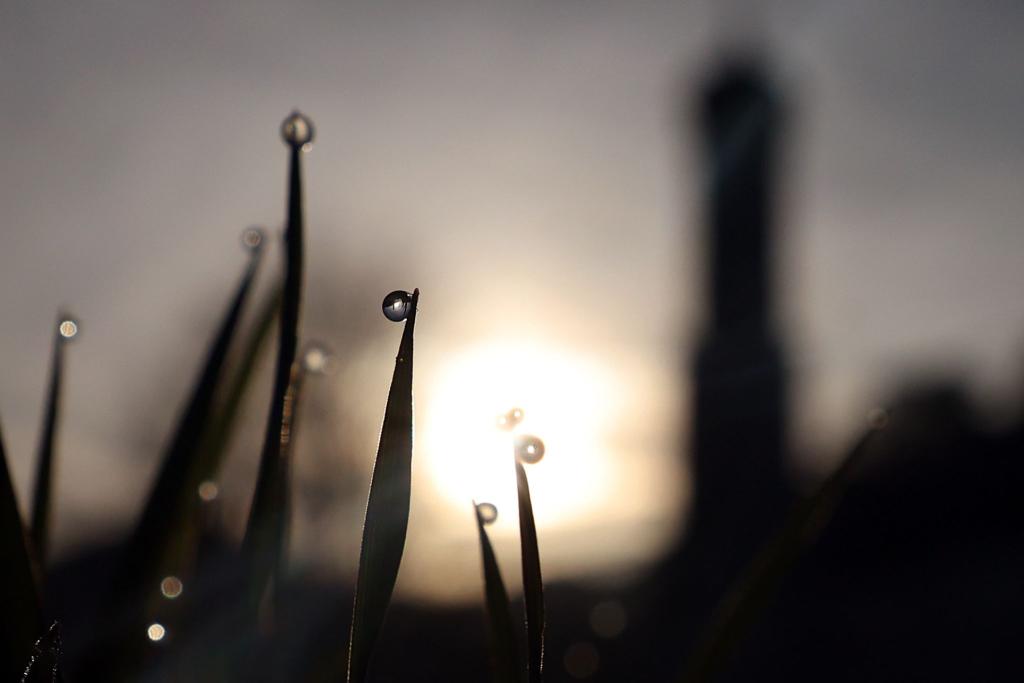 Ein letzter schöner Tag ist heute noch drin, bevor das Wetter etwas unbeständiger wird. - Foto: Karl-Josef Hildenbrand/dpa