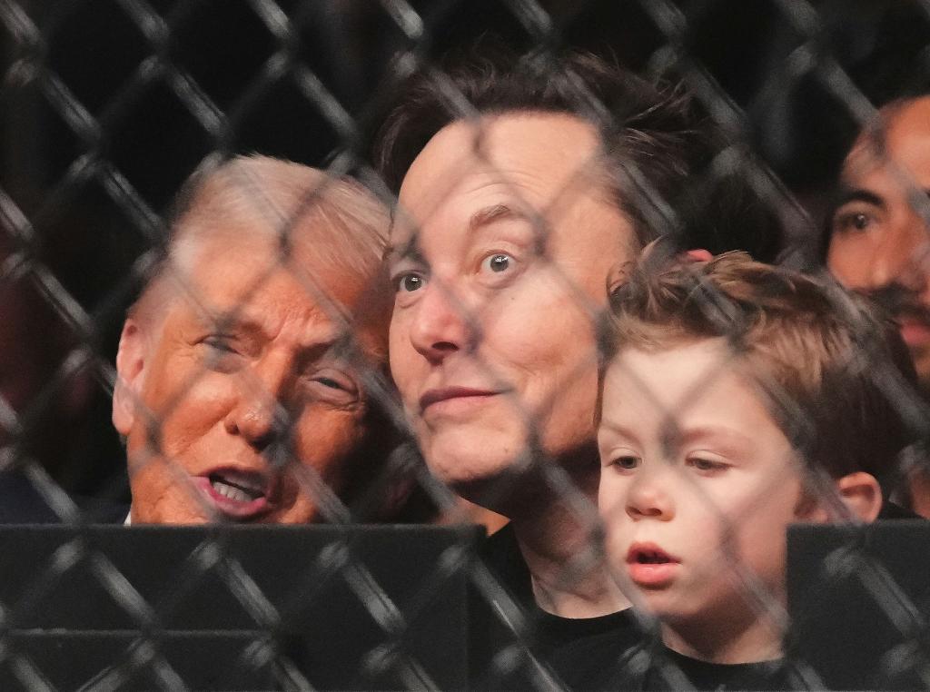 Trump, Musk mit 4 Jahre altem Sohn bei Kampfsport-Spektakel - Foto: Lynne Sladky/AP/dpa