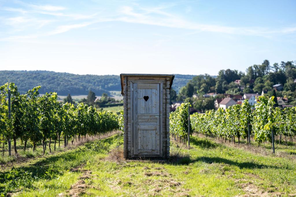 Wasser oder Toilettenpapier? Bei dieser Frage scheiden sich nicht nur wissenschaftlich die Geister. (Illustration) - Foto: Hendrik Schmidt/dpa