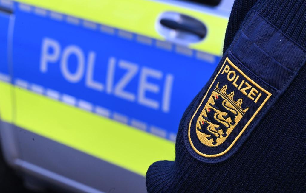 Der Mann hatte laut Polizei sein Gepäck noch im Zug. (Symbolbild) - Foto: Bernd Weißbrod/dpa