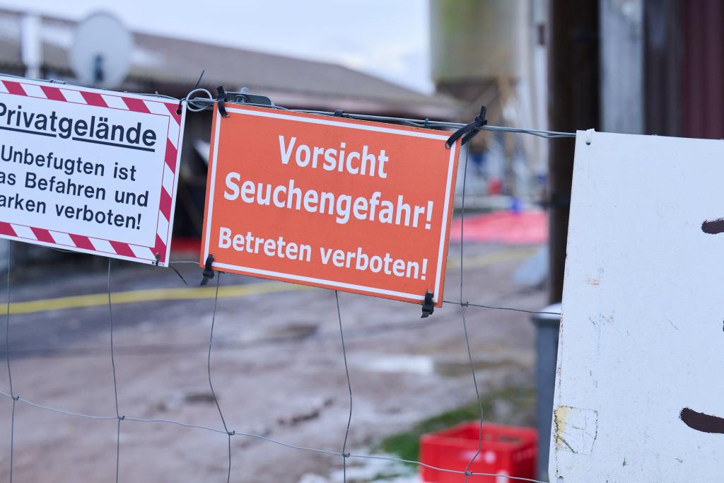 Nach dem Ausbruch der Maul- und Klauenseuche im brandenburgischen Hönow ist die Sperrzone mit Restriktionen für Landwirte aufgehoben (Archivbild). - Foto: Annette Riedl/dpa