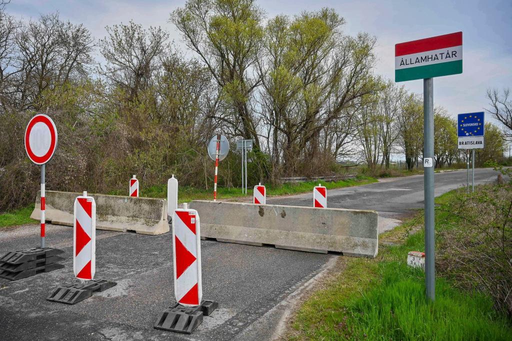 Der Ausbruch der Maul- und Klauenseuche in Ungarn und der Slowakei sorgt in Deutschland für Unsicherheit (Archivbild). - Foto: Csaba Krizsan/MTI/AP/dpa
