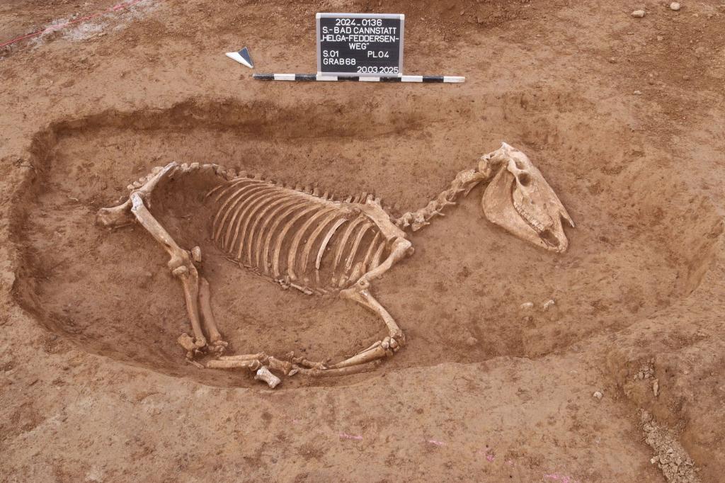 Bei Untersuchungen in Stuttgart wird ein römischer Pferdefriedhof entdeckt. - Foto: ArchaeoBW/LAD/dpa