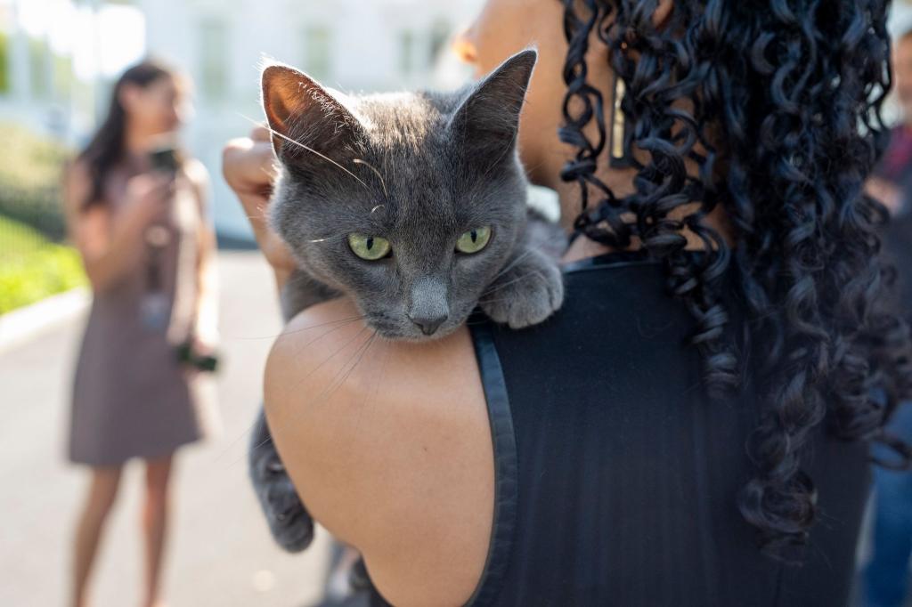 Sophie wurde wieder mit ihrem Besitzer vereint. - Foto: Alex Brandon/AP/dpa