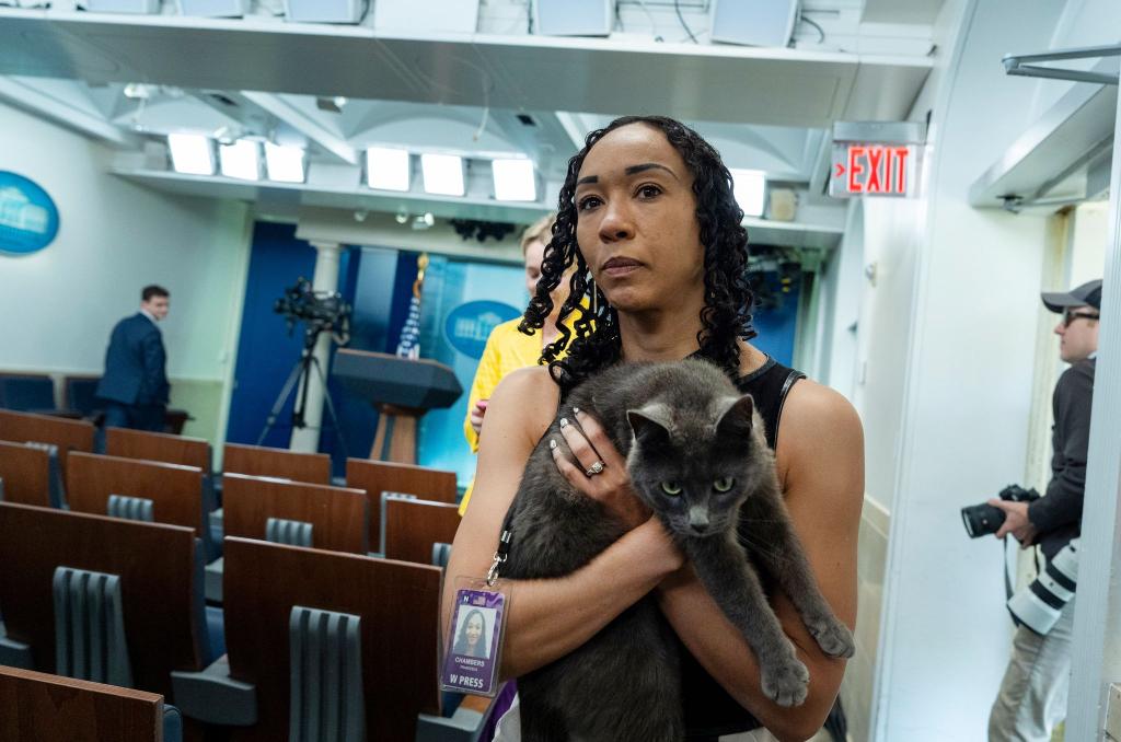 Francesca Chambers, Korrespondentin des Weißen Hauses für USA Today, hält Sophie im Arm. Die Katze hat sich auf das Gelände des Weißen Hauses verirrt. - Foto: Alex Brandon/AP/dpa