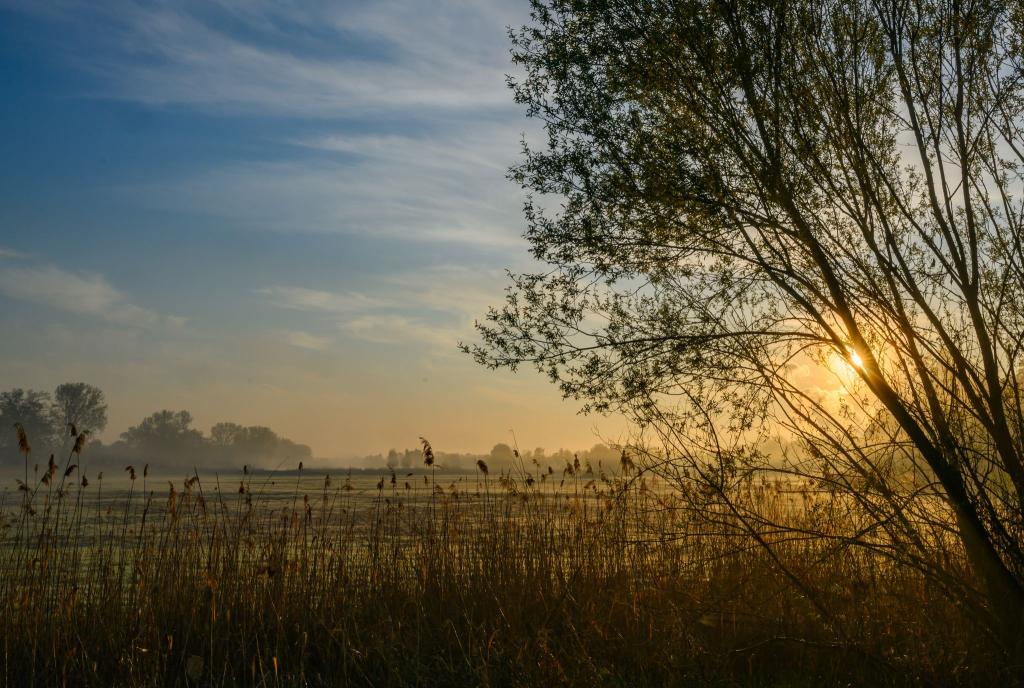 Nach einem sonnigen Start in den Ostersonntag droht es in Teilen Deutschlands, ungemütlich zu werden. - Foto: Patrick Pleul/dpa