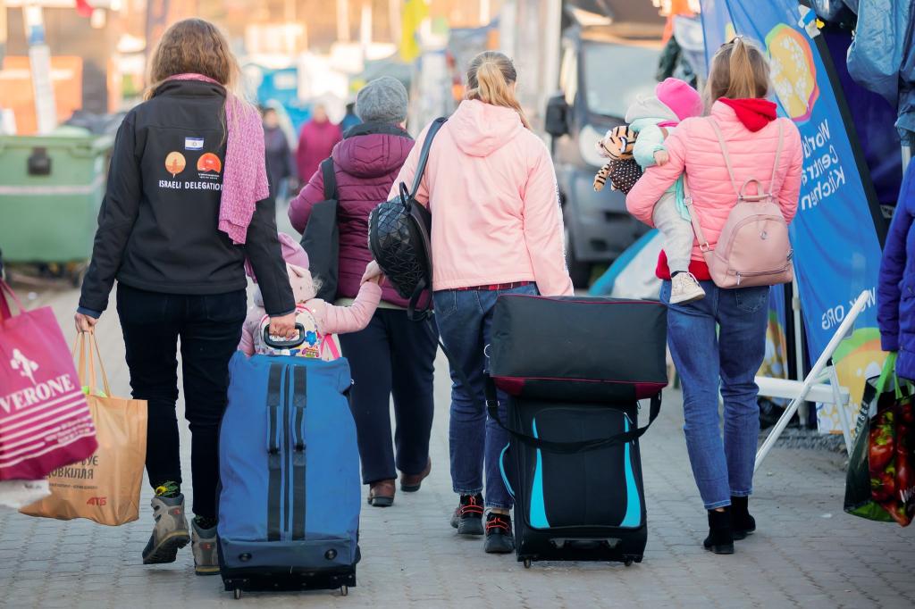 Bereits in den ersten Kriegsmonaten kamen rund eine Million Flüchtlinge aus der Ukraine nach Deutschland. (Archivfoto) - Foto: Christoph Soeder/dpa