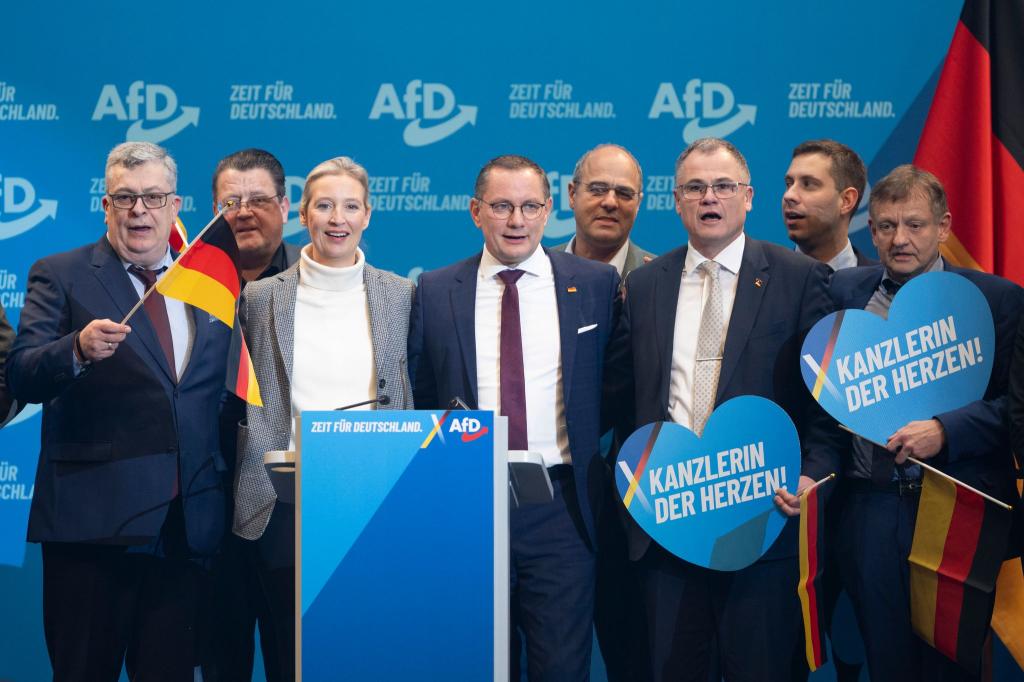 Auch die Reden beim Bundesparteitag in Riesa im vergangenen Januar flossen mit ein in die Bewertung durch den Verfassungsschutz. (Archivfoto) - Foto: Sebastian Kahnert/dpa