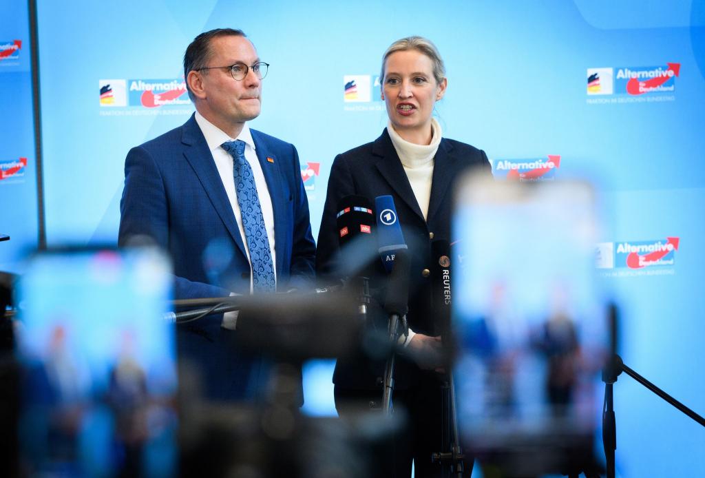 Alice Weidel und Tino Chrupalla stehen gemeinsam an der Spitze von Partei und Fraktion. (Archivfoto) - Foto: Bernd von Jutrczenka/dpa