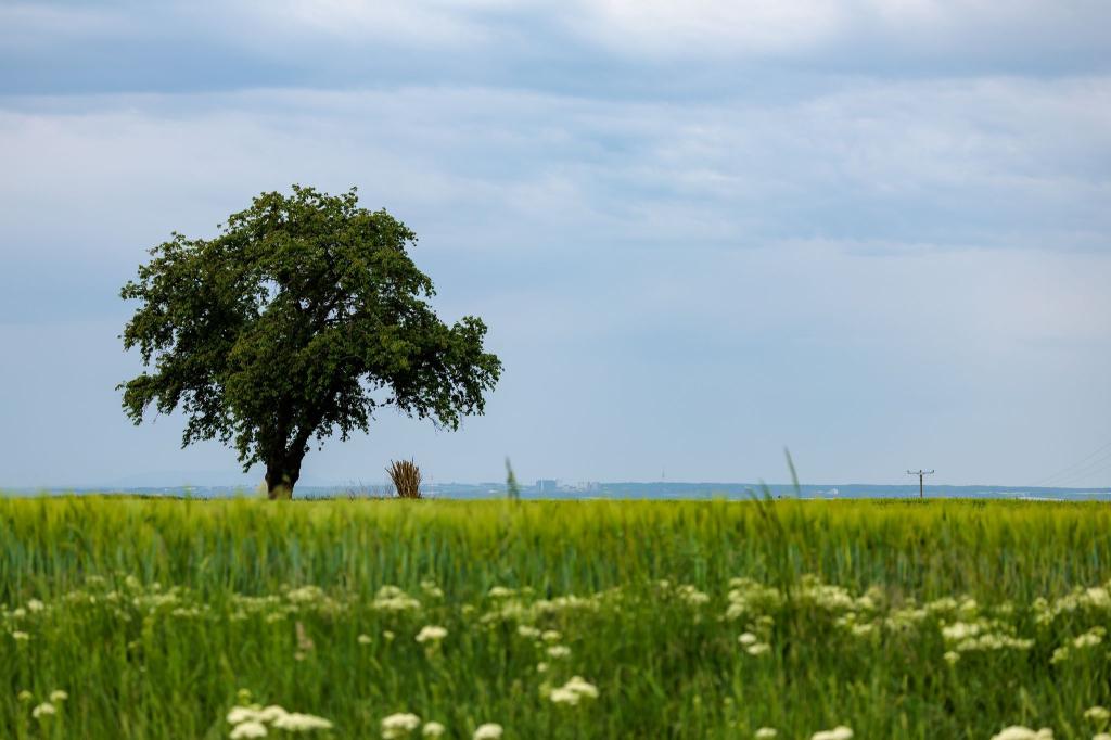 Der Wetterumschwung kann Gewitter und Starkregen bringen. (Symbolbild) - Foto: Jörg Halisch/dpa