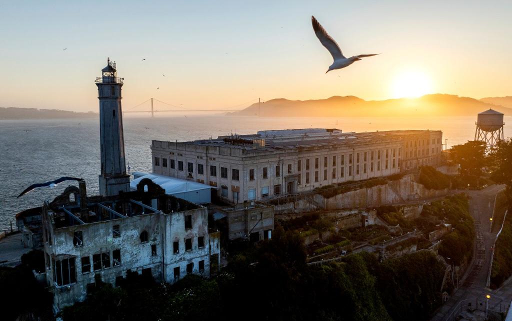 Alcatraz-Gefängnis: Ein Vogel fliegt über Alcatraz Island in der Bucht von San Francisco. US-Präsident Trump will das berüchtigte Gefängnis Alcatraz wieder in Betrieb nehmen und dort künftig Schwerverbrecher unterbringen. - Foto: Noah Berger/FR34727 AP/AP/dpa