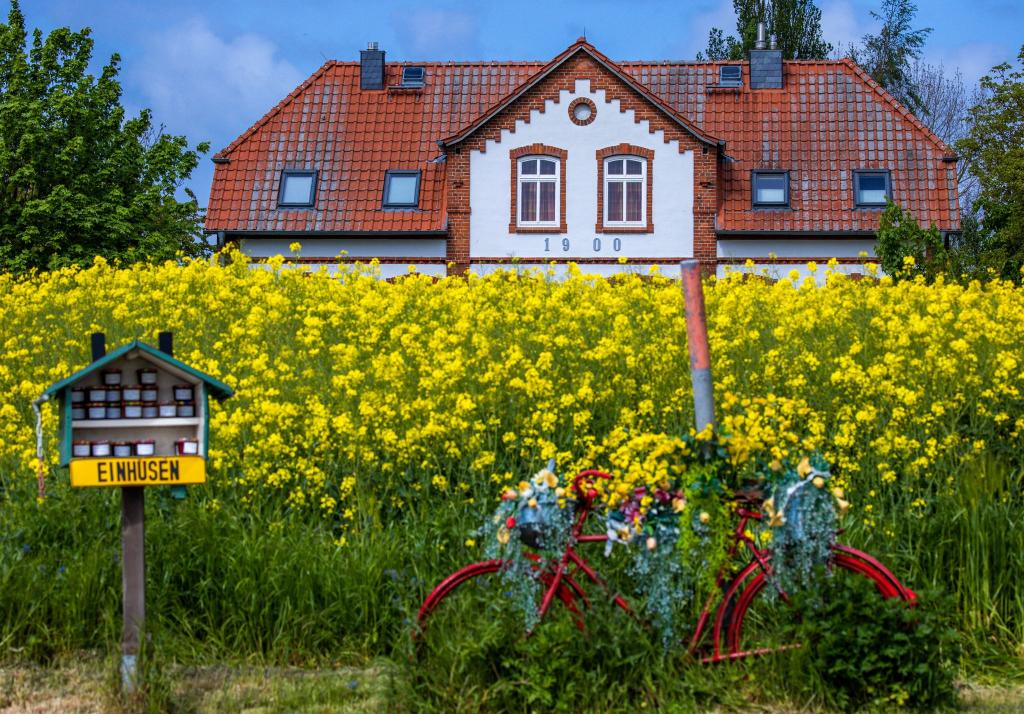 Ferienhäuser werden immer häufiger online vermittelt. - Foto: Jens Büttner/dpa
