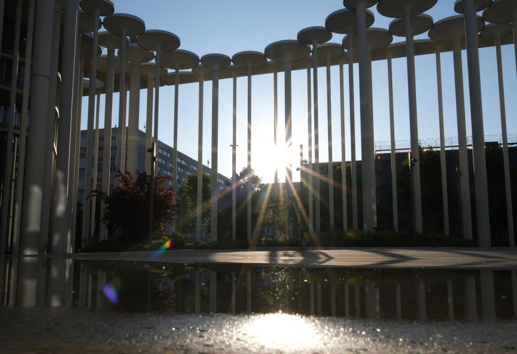 Blauer Himmel, Sonnenschein - am kommenden Wochenende wird dieses Bild vorherrschen. - Foto: Sebastian Willnow/dpa