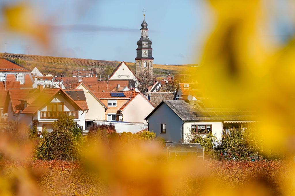 Der kleine Winzerort Kallstadt an der Weinstraße ist der Heimatort von Trumps Vorfahren. (Archivbild) - Foto: Uwe Anspach/dpa/dpa-tmn