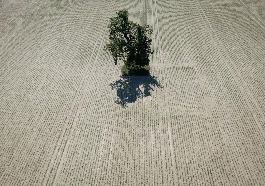 Weite Teile Europas leiden seit Jahren unter zunehmender Wasserknappheit. (Archivbild) - Foto: Boris Roessler/dpa