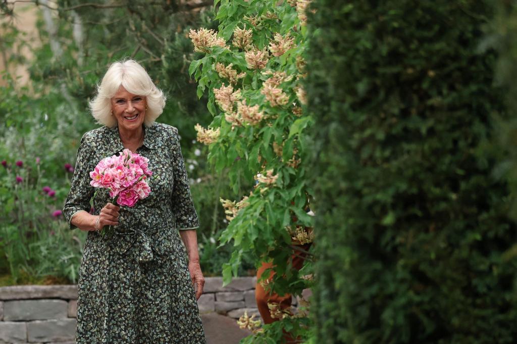 Königin Camilla hält die «King's Rose». - Foto: Toby Melville/PA Wire/dpa