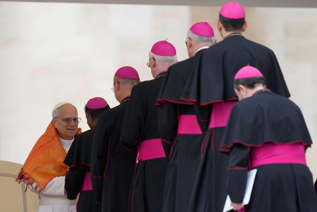 Papst Leo XIV. begrüßt Bischöfe nach erster Generalaudienz - Foto: Gregorio Borgia/AP/dpa