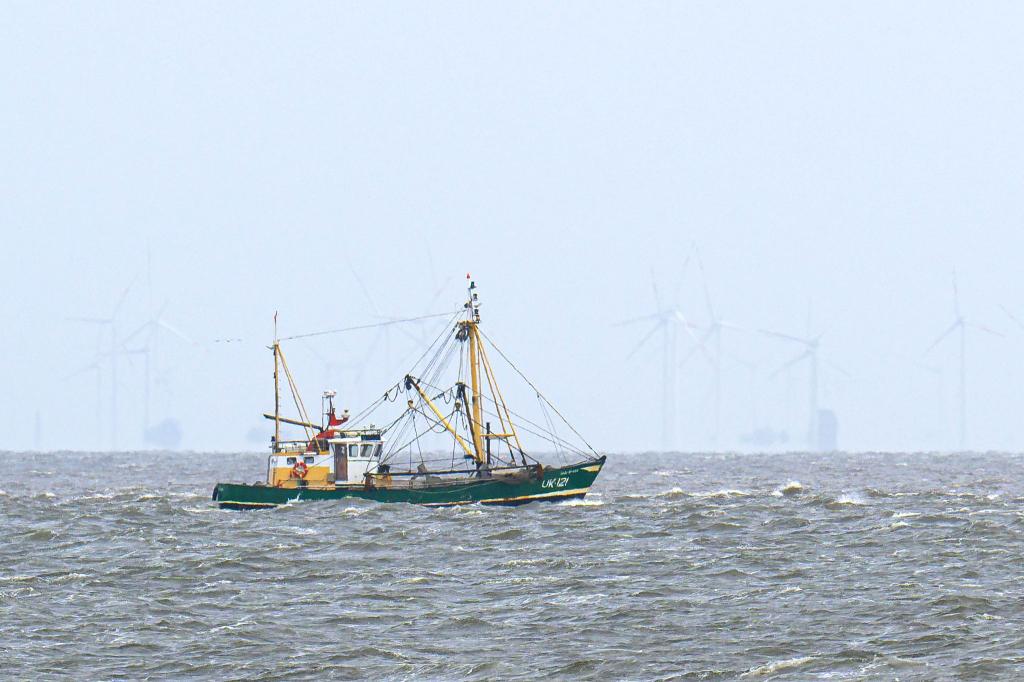 Krabbenfischer verlieren vor Gericht (Foto-aktuell). - Foto: Sina Schuldt/dpa