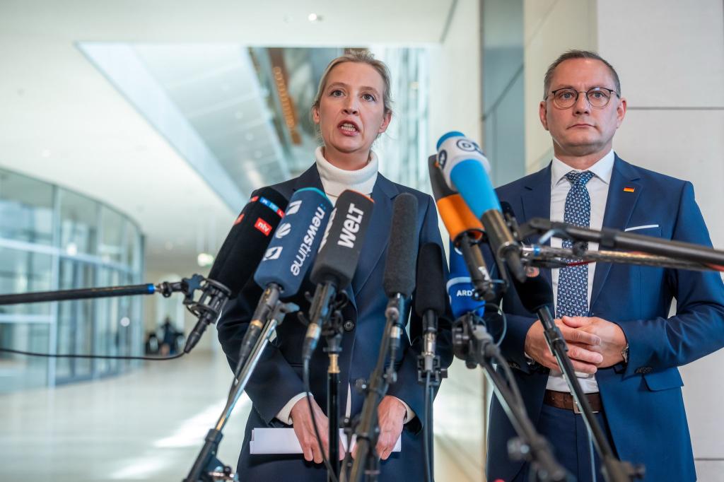 Die AfD-Chefs Alice Weidel und Tino Chrupalla kritisieren «Spielchen» der anderen Parteien. - Foto: Michael Kappeler/dpa