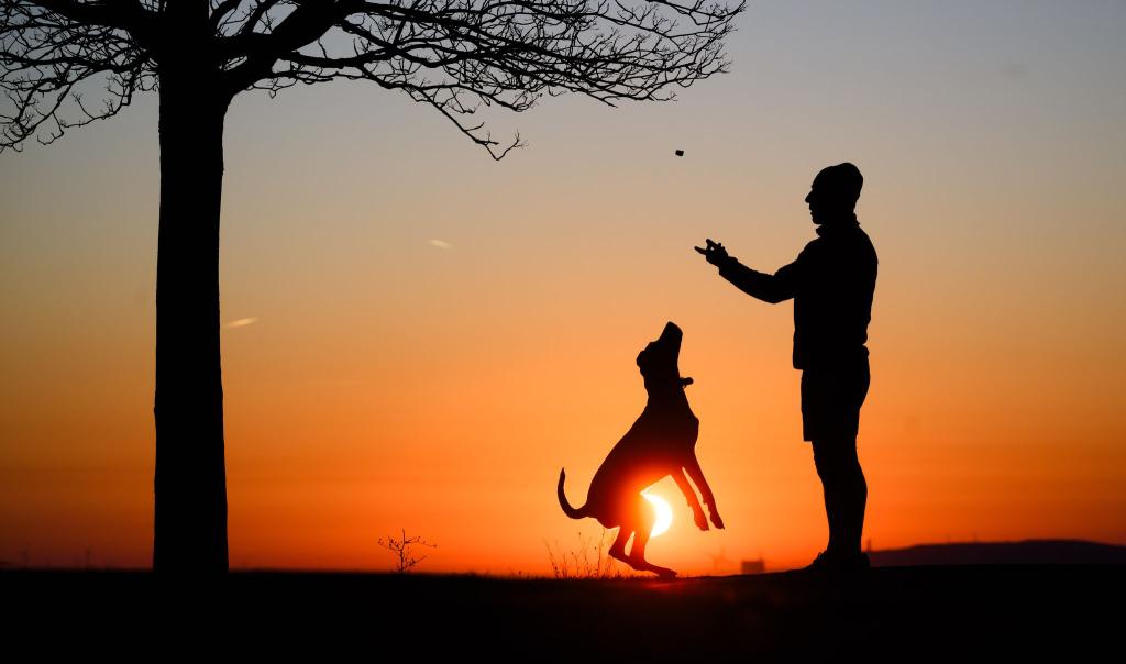 Hund statt Kind? Ganz so einfach ist es nicht. - Foto: Julian Stratenschulte/dpa