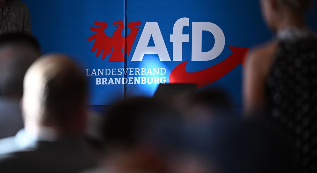 Die AfD in Brandenburg wehrt sich juristisch gegen ihre Hochstufung zur gesichert rechtsextremistischen Bestrebung. (Archivbild) - Foto: Britta Pedersen/dpa