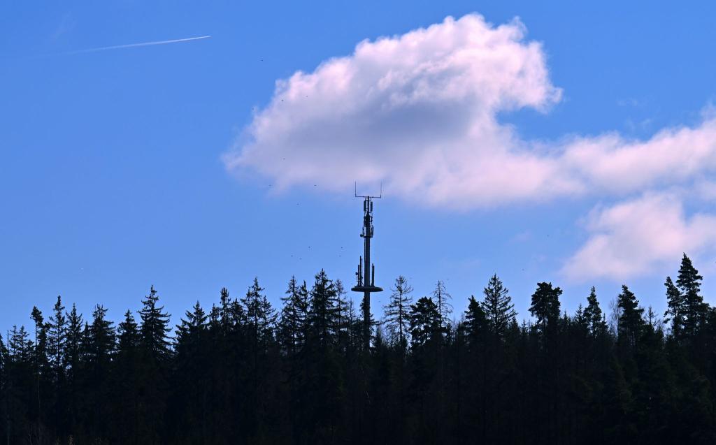 Hier gibt es Handynetz - anderswo fehlen hingegen noch Mobilfunkmasten im Wald, an Wiesen oder an Bauernhöfen. (Symbolbild) - Foto: Martin Schutt/dpa