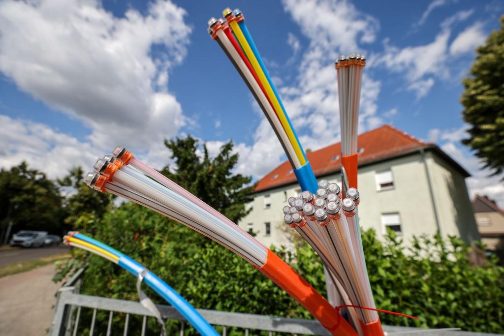 Beim Netzausbau soll es nach dem Willen der Bundesregierung schneller gehen. - Foto: Jan Woitas/dpa/dpa-tmn