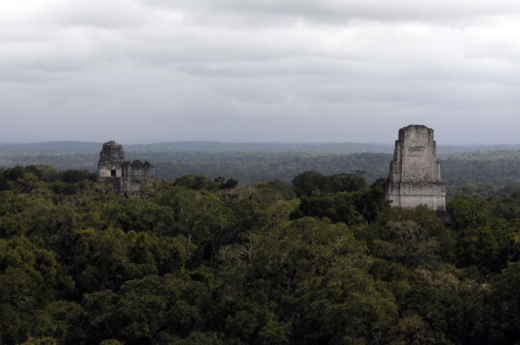 In der Nähe der Unesco-Weltkulturerbestätte Tikal wurde eine rund 2.900 Jahre alte Maya-Stätte entdeckt. - Foto: Sandra Sebastian/EFE via epa/dpa