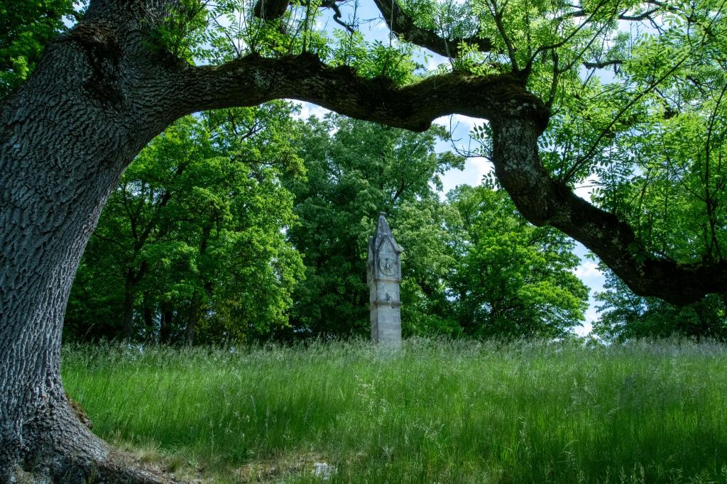 Der Park des Schlosses Rosenau bei Coburg in Bayern. - Foto: Pia Bayer/dpa