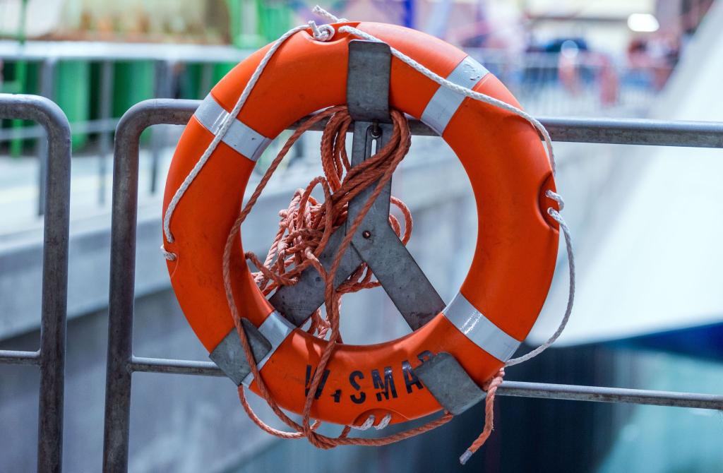 Die beiden Männer konnten nur noch leblos aus dem Wasser geborgen werden. (Symbolbild) - Foto: Jens Büttner/dpa-Zentralbild/dpa