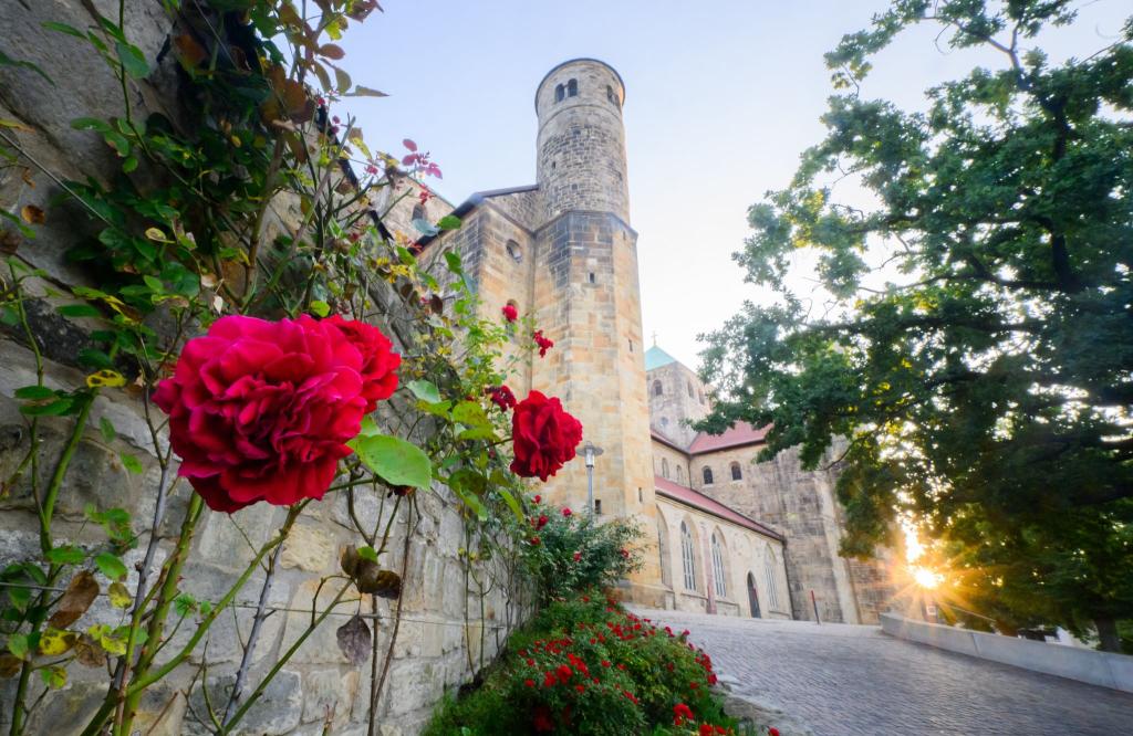 Die St. Michaeliskirche gehört zum Unesco-Weltkulturerbe in Hildesheim. (Archivbild) - Foto: Julian Stratenschulte/dpa