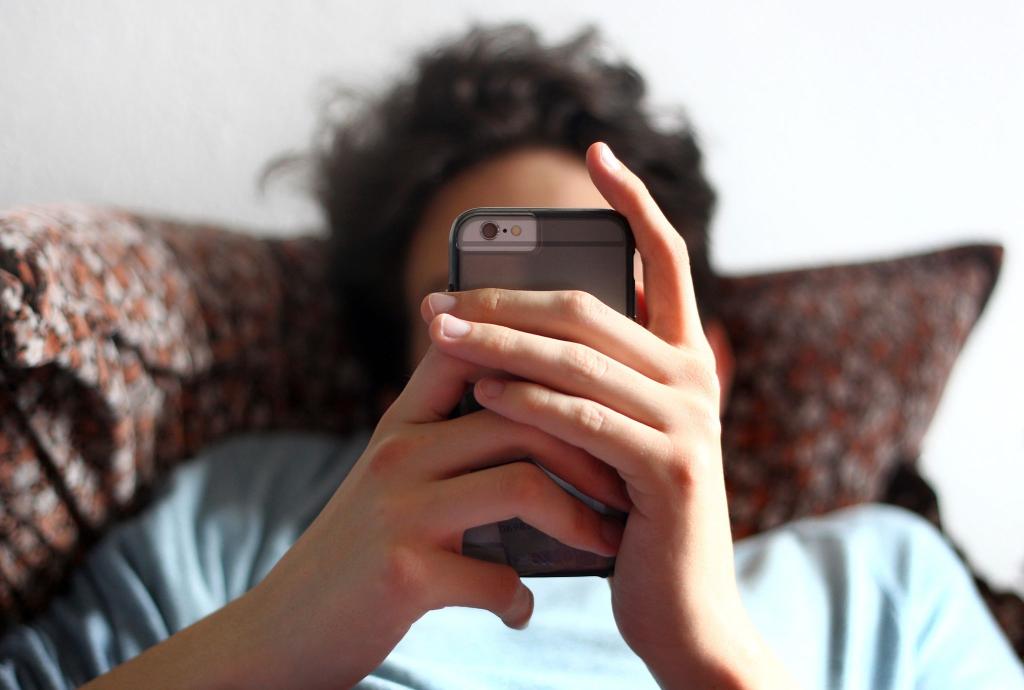 Nur ein Viertel der Internet-Nutzer in Deutschland traut sich zu, Falschinformationen im Netz zu erkennen. - Foto: Karl-Josef Hildenbrand/dpa