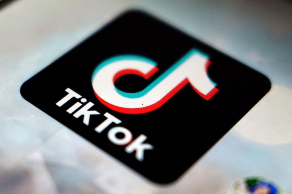Eine gemeinnützige Verbraucherstiftung aus den Niederlanden hat beim Kammergericht Berlin eine Schadenersatzklage gegen die Videoplattform Tiktok eingereicht. - Foto: Kiichiro Sato/AP/dpa