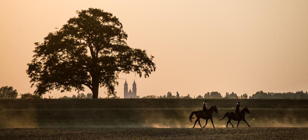 Rauch aus Kanada kann die Luft trüb wirken lassen und zu spektakulären Sonnenuntergängen führen. (Illustration) - Foto: picture alliance / dpa