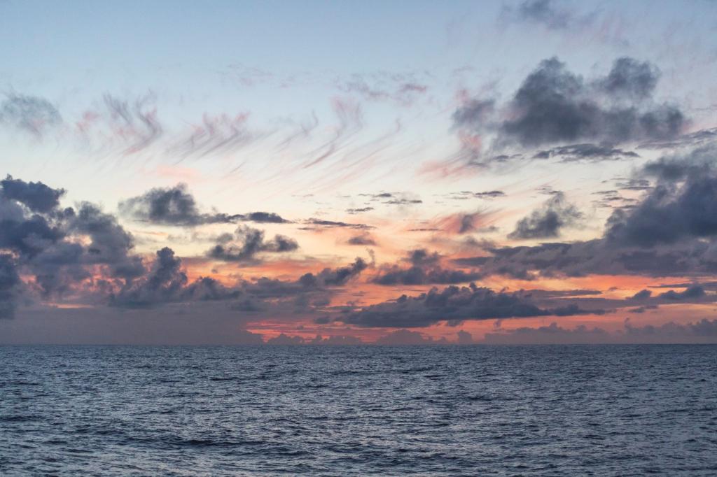 Untersucht wurde eine Region nördlich von Hawaii, die sogenannte Nordpazifische Übergangszone. - Foto: Ryan Tabata/University of Hawaii at Manoa/dpa
