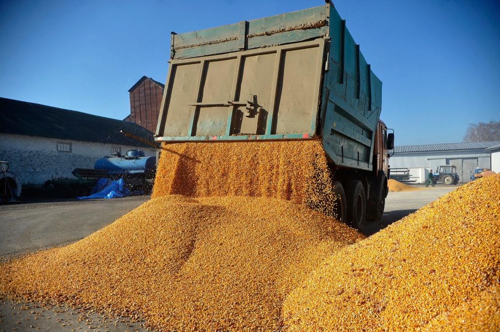 Agrarexporte der Ukraine haben für Unmut bei Bauern in der EU gesorgt. (Archivbild) - Foto: ---/Ukrinform/dpa