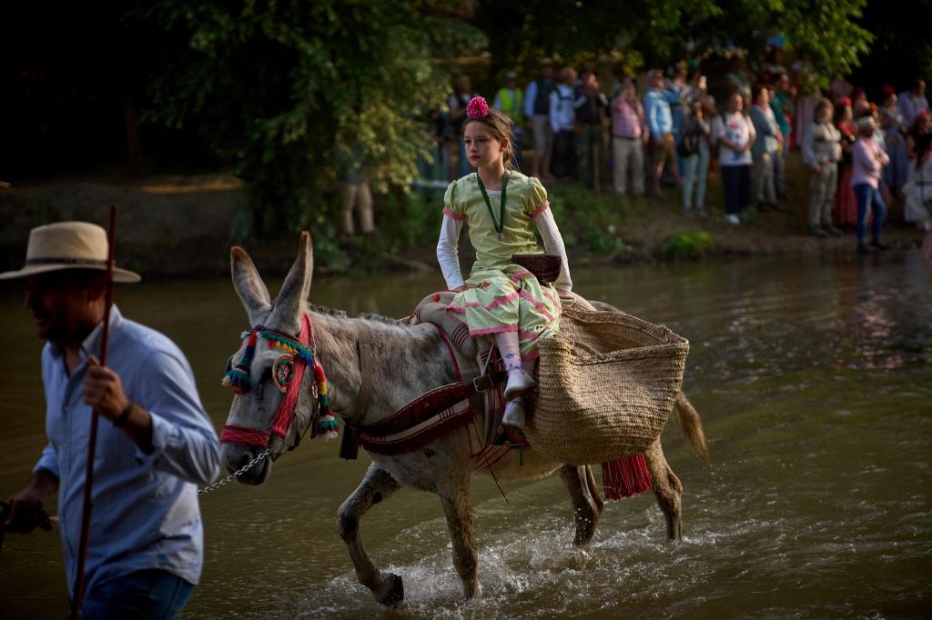Auf dem Esel durchquert eine Wallfahrerin einen Fluss auf dem Weg zum Schrein von El Rocio in Spanien. - Foto: Emilio Morenatti/AP/dpa