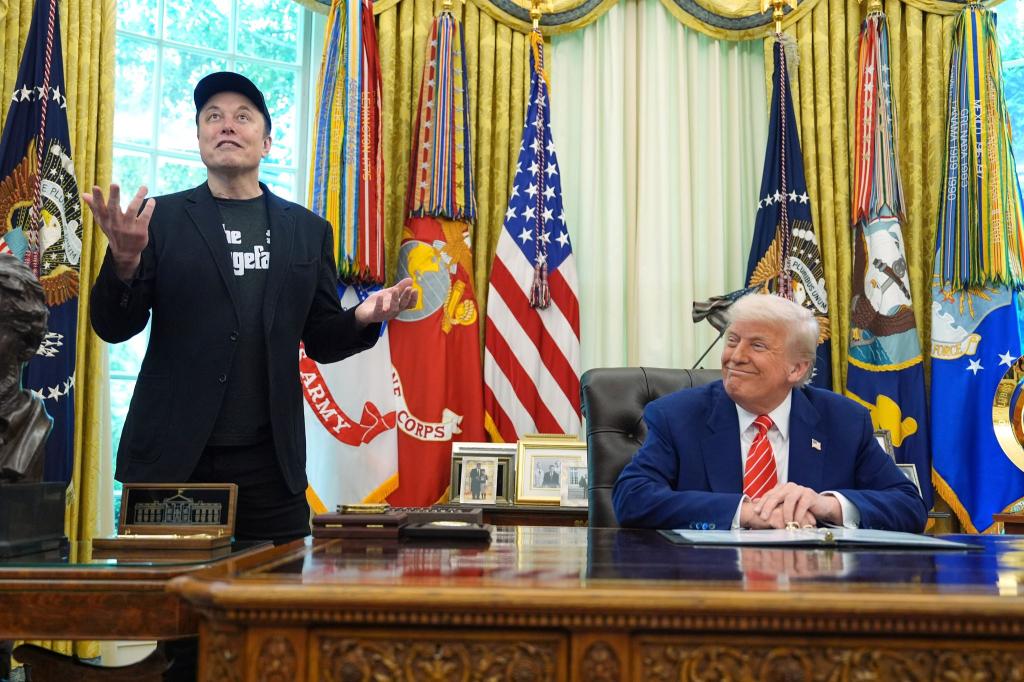 Tech-Milliardär Elon Musk gehört dem im Auftrag von US-Präsident Donald Trump handelnden Doge-Gremium nicht mehr an. (Archivbild) - Foto: Evan Vucci/AP/dpa