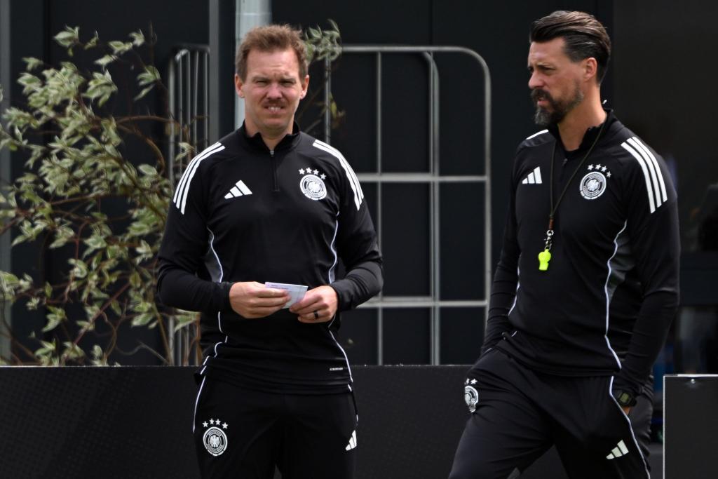 Julian Nagelsmann (l) und Sandro Wagner beim letzten gemeinsamen DFB-Training. - Foto: Federico Gambarini/dpa