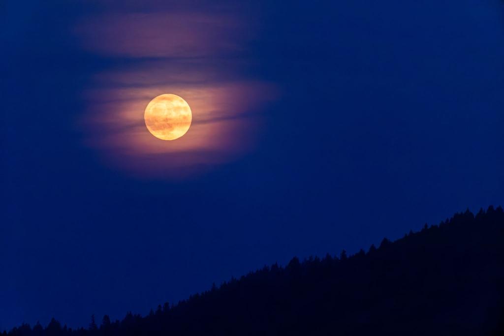 Wetteraussichten beim Erdbeermond sind gut. - Foto: Philipp von Ditfurth/dpa