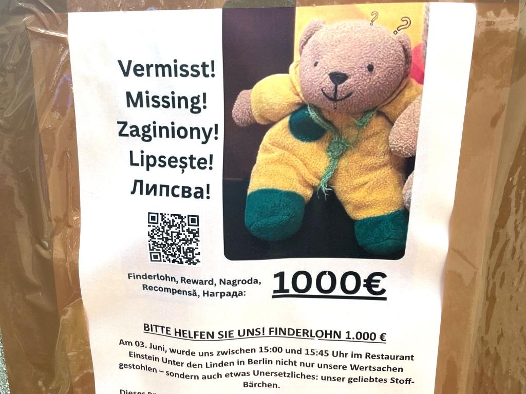 Ein Plakat zu einer Suchaktion. (Archivbild) - Foto: Christof Bock/dpa-Zentralbild/dpa