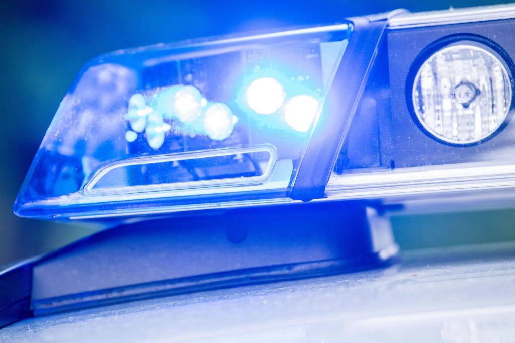 Die Polizei hat zwei spielende Kinder aus unmittelbarer Nähe der Gleise der Bahnstrecke Hamburg - Berlin geholt. Die Strecke wurde zeitweise gesperrt. (Symbolbild) - Foto: Lino Mirgeler/dpa