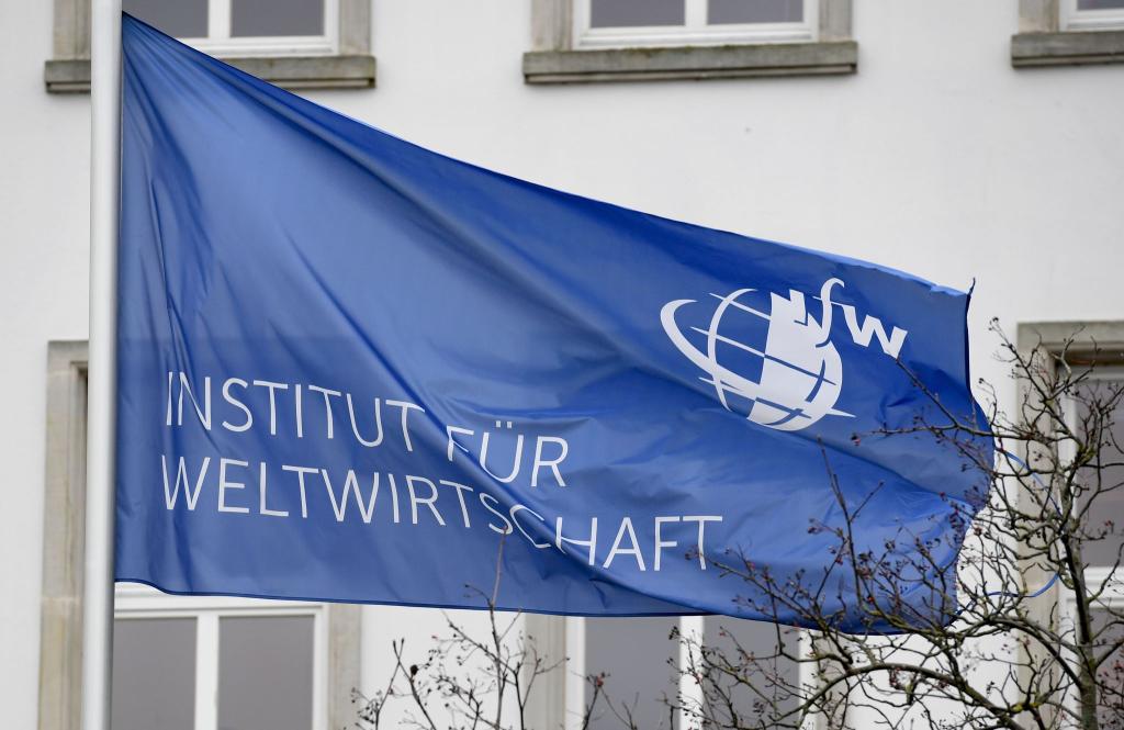 Das IfW Kiel untersucht, welche Länder die Ukraine unterstützten. (Archivbild) - Foto: Carsten Rehder/dpa