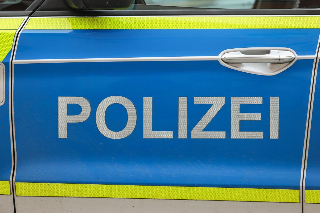 Die Polizei sucht am Geiseltalsee in Sachsen-Anhalt nach einer Großkatze. (Symbolbild) - Foto: Jan Woitas/dpa