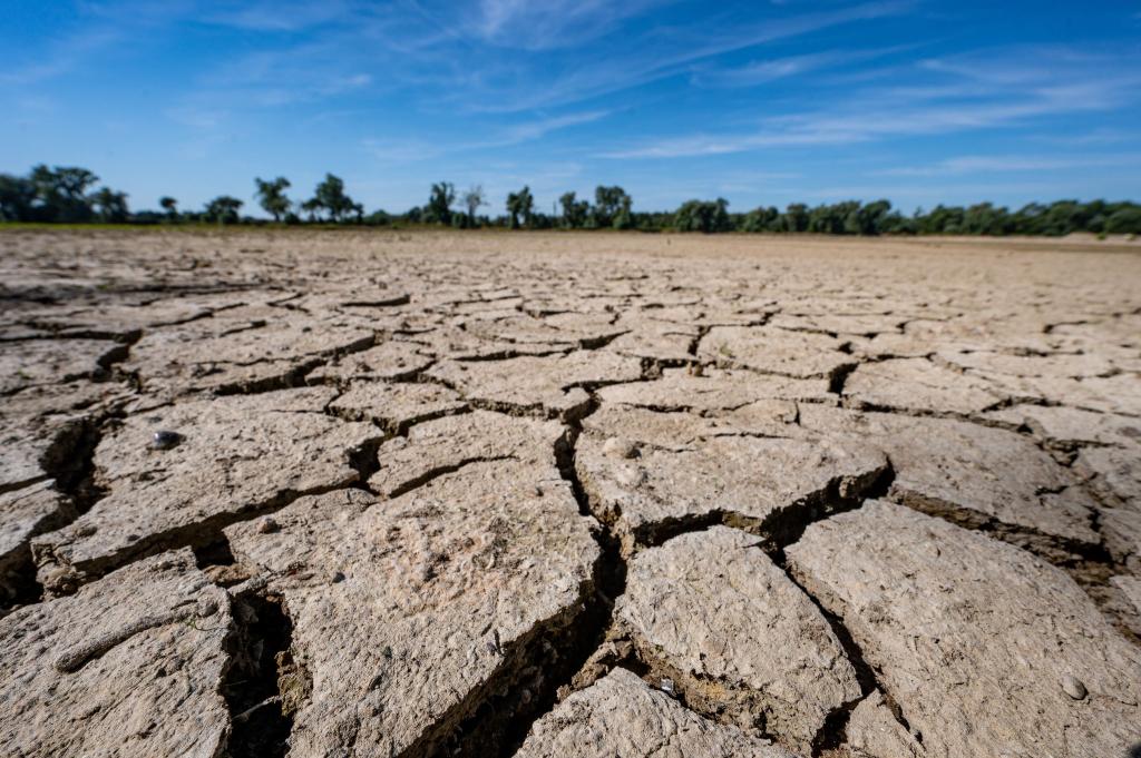 Eine neue Studie besagt, dass auf der Grundlage des derzeitigen CO2-Ausstoßes nur noch drei Jahre bis zur Überschreitung des 1,5 Grad-Ziels bleiben (Archivbild). - Foto: Armin Weigel/dpa
