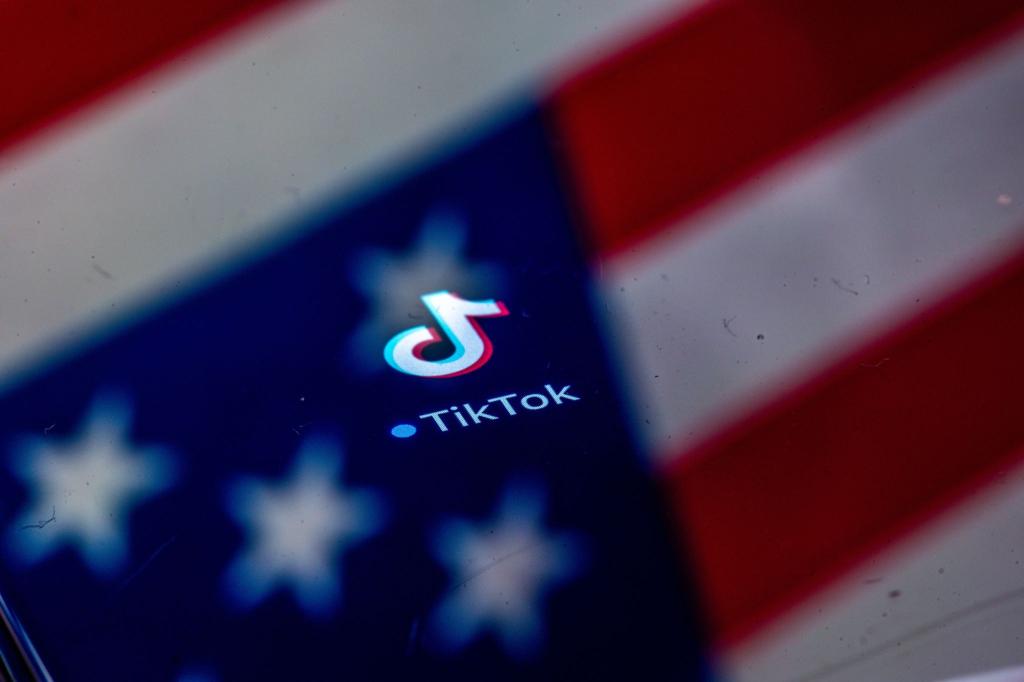 Nach dem US-Gesetz dürfte Tiktok eigentlich nicht mehr in den USA verfügbar sein. (Archivbild) - Foto: Jens Büttner/dpa
