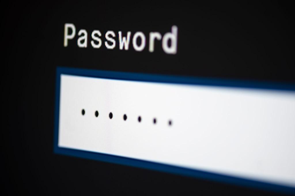 Bei dem angeblichen massiven Datenleck mit 16 Milliarden Zugangsdaten handelt sich nach Einschätzung von Experten nicht um einen aktuellen Sicherheitsvorfall. (Symbolbild) - Foto: Fabian Sommer/dpa